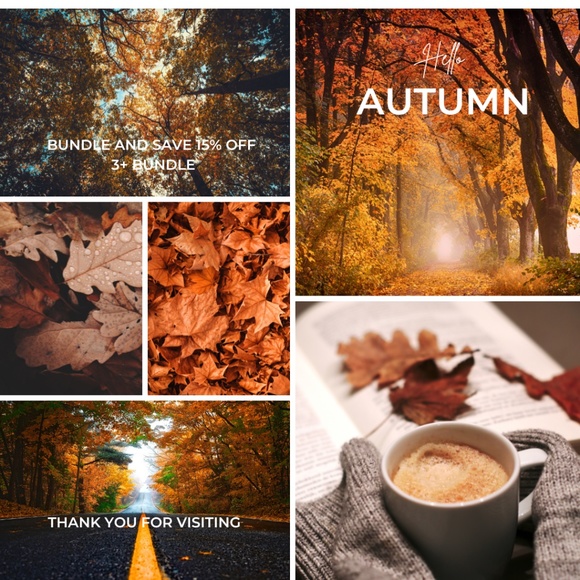 Meet your Posher, Georgette - Picture 1 of 1